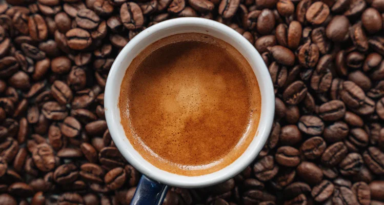 Caffè: Dall’Etiopia alle Corti Europee, il viaggio della bevanda che ha svegliato il mondo