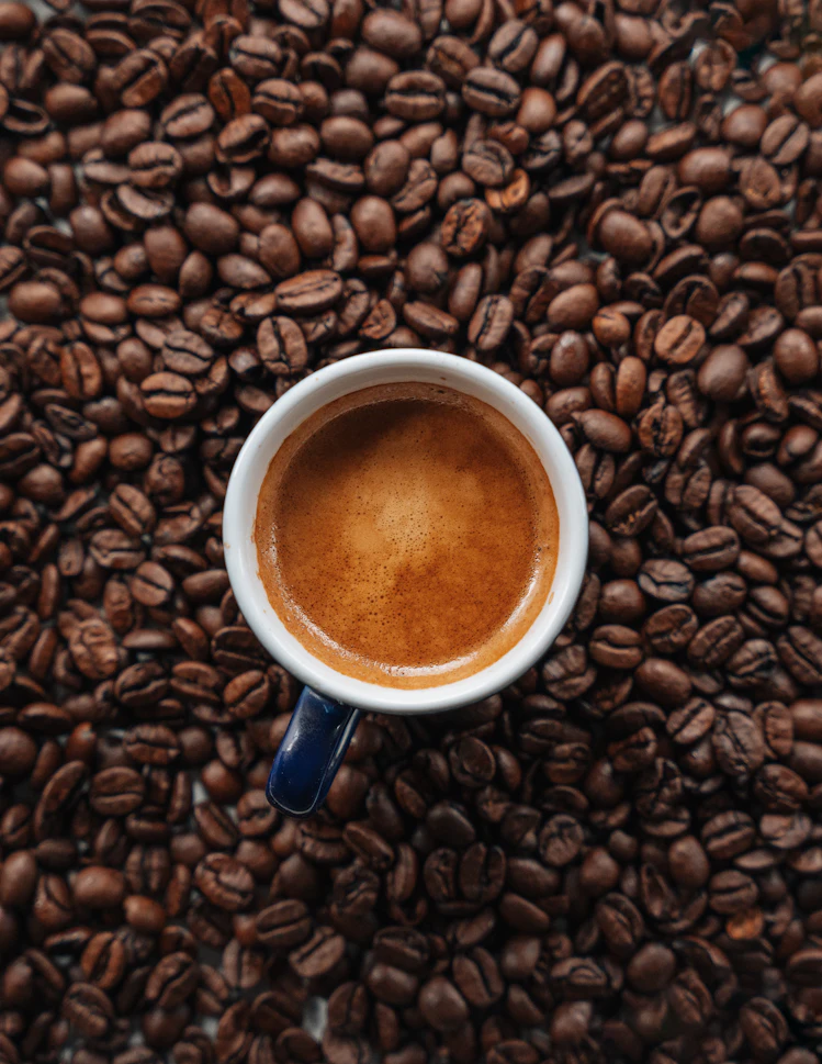 Caffè: Dall’Etiopia alle Corti Europee, il viaggio della bevanda che ha svegliato il mondo