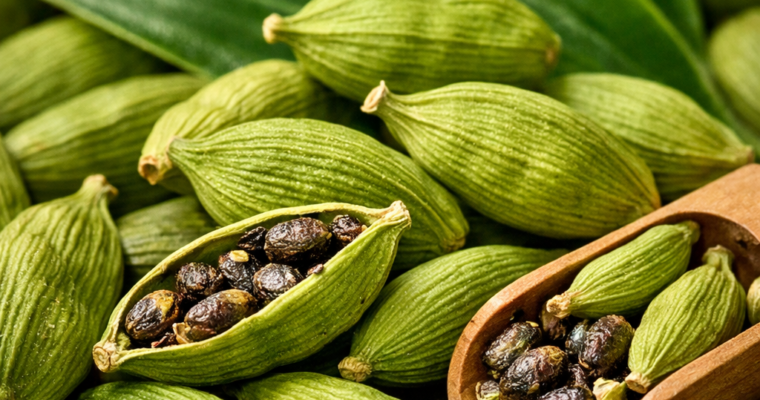 Cardamomo Verde del Guatemala: La Spezia Errante che unisce i Tropici al Medio Oriente