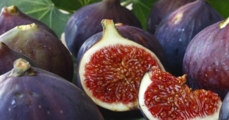 Il Fico e la Sacralità del Mediterraneo: Il Frutto degli Dei che Nutriva i Filosofi