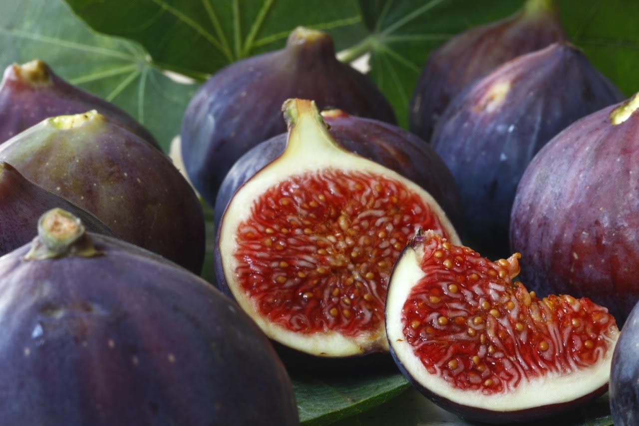 Il Fico e la Sacralità del Mediterraneo: Il Frutto degli Dei che Nutriva i Filosofi