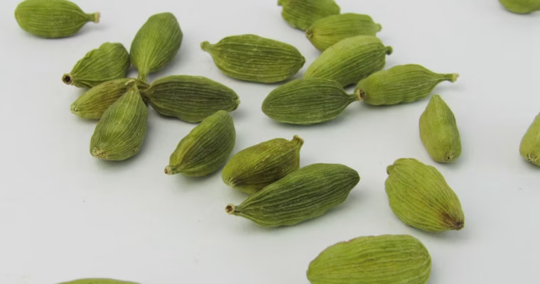 Cardamomo – La Spezia dei Re e delle Rotte Perdute