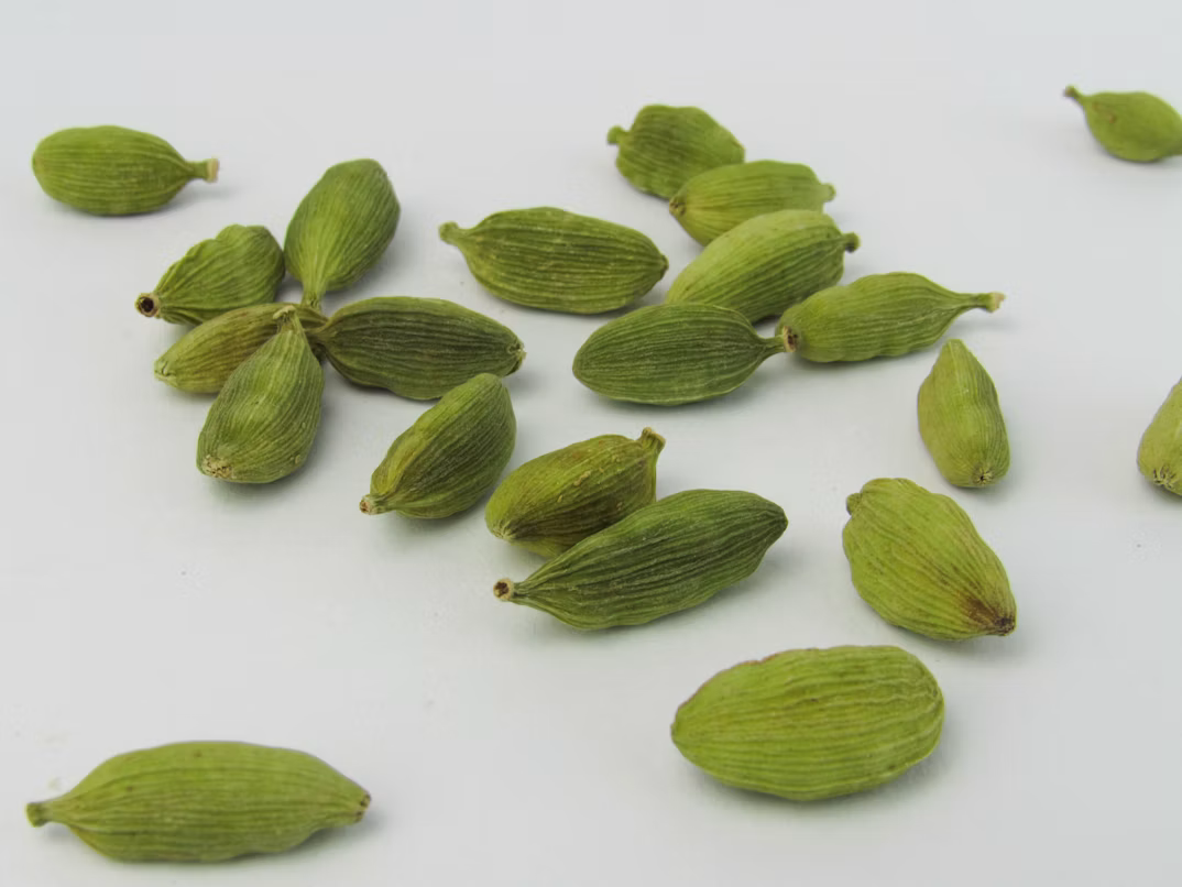 Cardamomo – La Spezia dei Re e delle Rotte Perdute